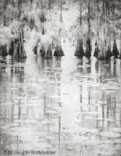 Fine photographic print of Caddo Lake by Jill Skupin Burkholder, at Sun to Moon Gallery, Dallas, TX – Partial sale proceeds benefit Caddo Lake Institute 