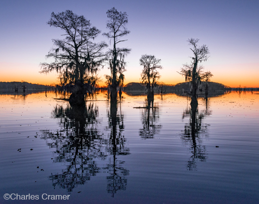 Fine photographic print of Caddo Lake by Charles Cramer, at Sun to Moon Gallery, Dallas, TX – Partial sale proceeds benefit Caddo Lake Institute 