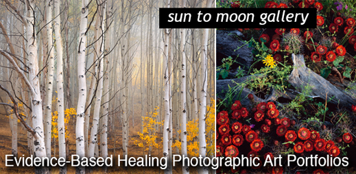 Evidence-Based Healing Photographic Art Portfolios by Sun to Moon Gallery 