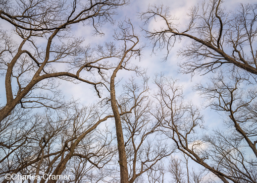 Fine art photographic print by Charles Cramer at Sun to Moon Gallery, Dallas, TX