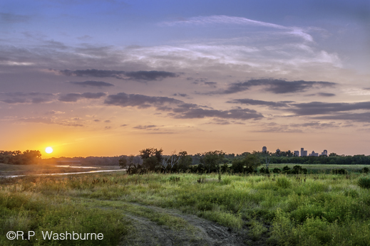 Fine photographic print of the Great Trinity Forest by R.P. Washburne, at Sun to Moon Gallery