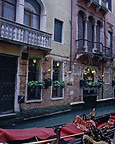 Venice photo ©Scot Miller