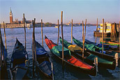 Venice Gondolas photo
