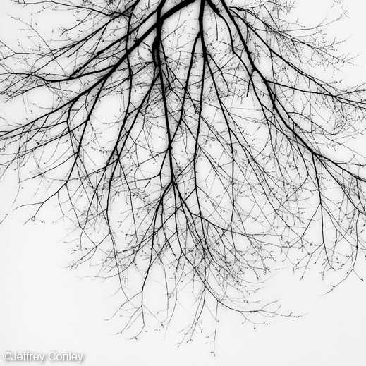 Gelatin Silver Print by Jeffrey Conley, available at Sun to Moon Gallery
