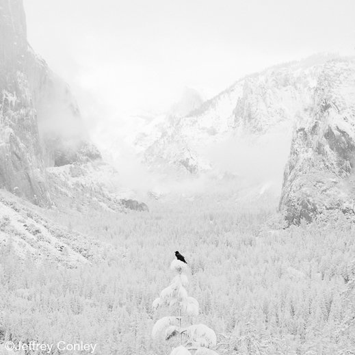 Yosemite gelatin silver print by Jeffrey Conley, at Sun to Moon Gallery, Dallas, TX