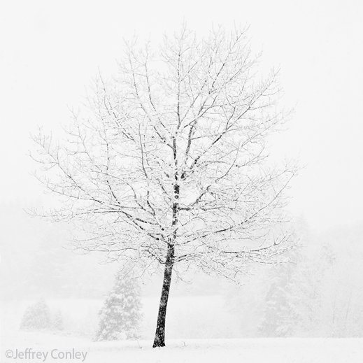 Fine Gelatin Silver Print by Jeffrey Conley, available at Sun to Moon Gallery, Dallas, TX 