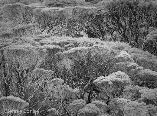 Fine Gelatin Silver Print by Jeffrey Conley, available at Sun to Moon Gallery, Dallas, TX