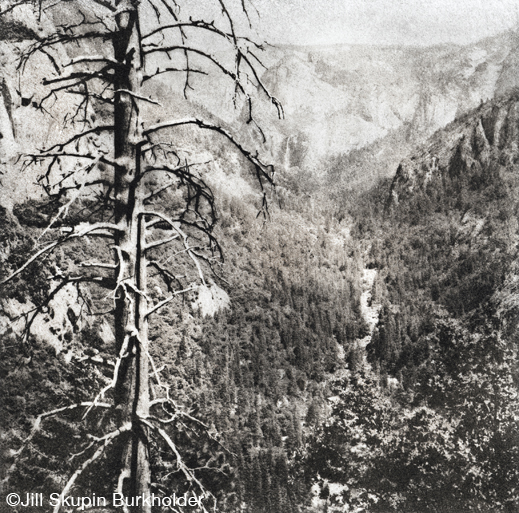 Yosemite Bromoil print by Jill Skupin Burkholder, at Sun to Moon Gallery, Dallas, TX