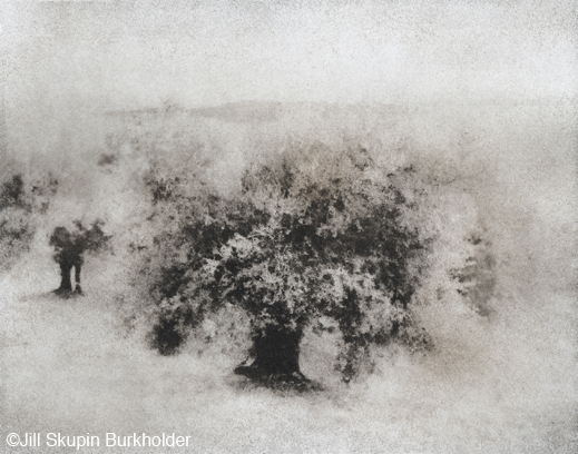 Bromoil print by Jill Skupin Burkholder, at Sun to Moon Gallery