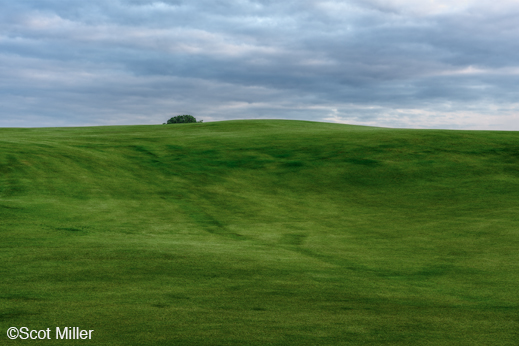 Trinity Forest Golf Club fine prints by Scot Miller, at Sun to Moon Gallery