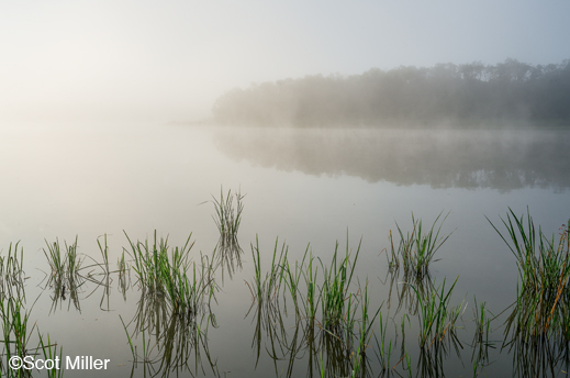 Fine art photographic print by Scot Miller, at Sun to Moon Gallery, Dallas, TX