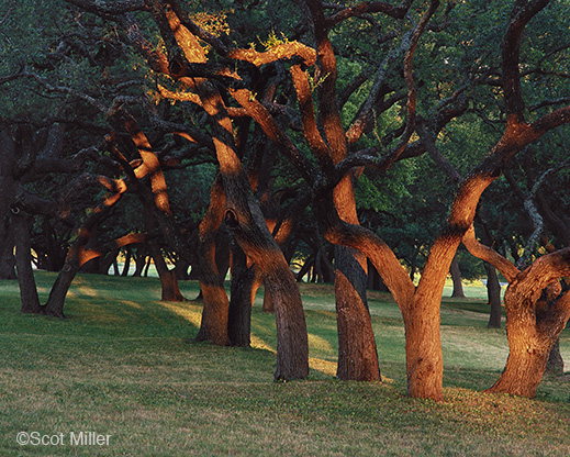 Fine Photographic Print form the LBJ Ranch by Scot Miller, available at Sun to Moon Gallery. Dallas, TX 