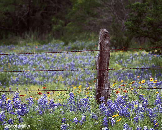 Fine Photographic Print from the Texas Hill Country by Scot Miller, available at Sun to Moon Gallery. Dallas, TX 